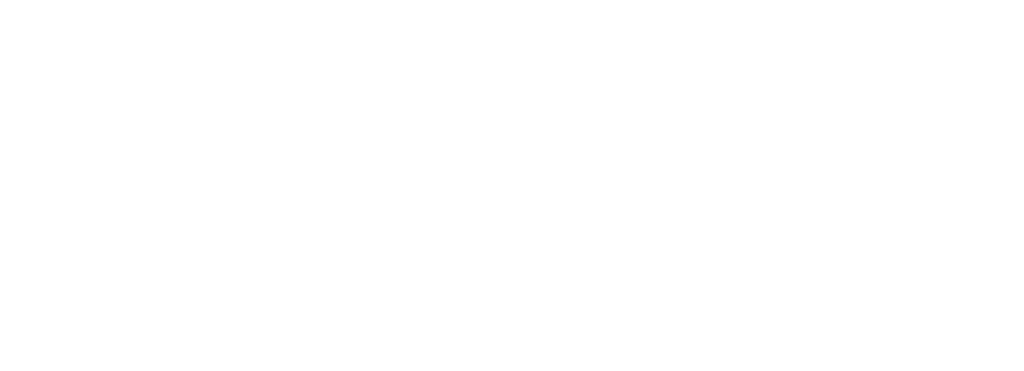 BlueVerse Logo